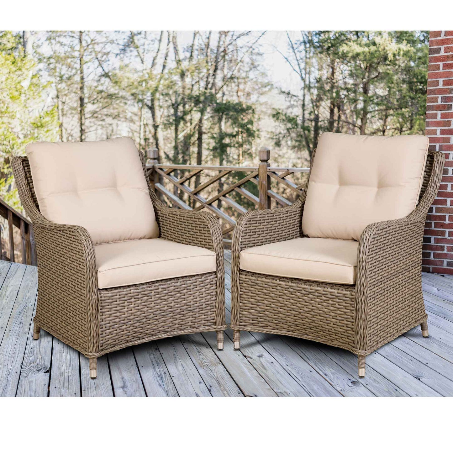 Dellonda Chester Rattan Outdoor Lounge Chairs - Set of 2