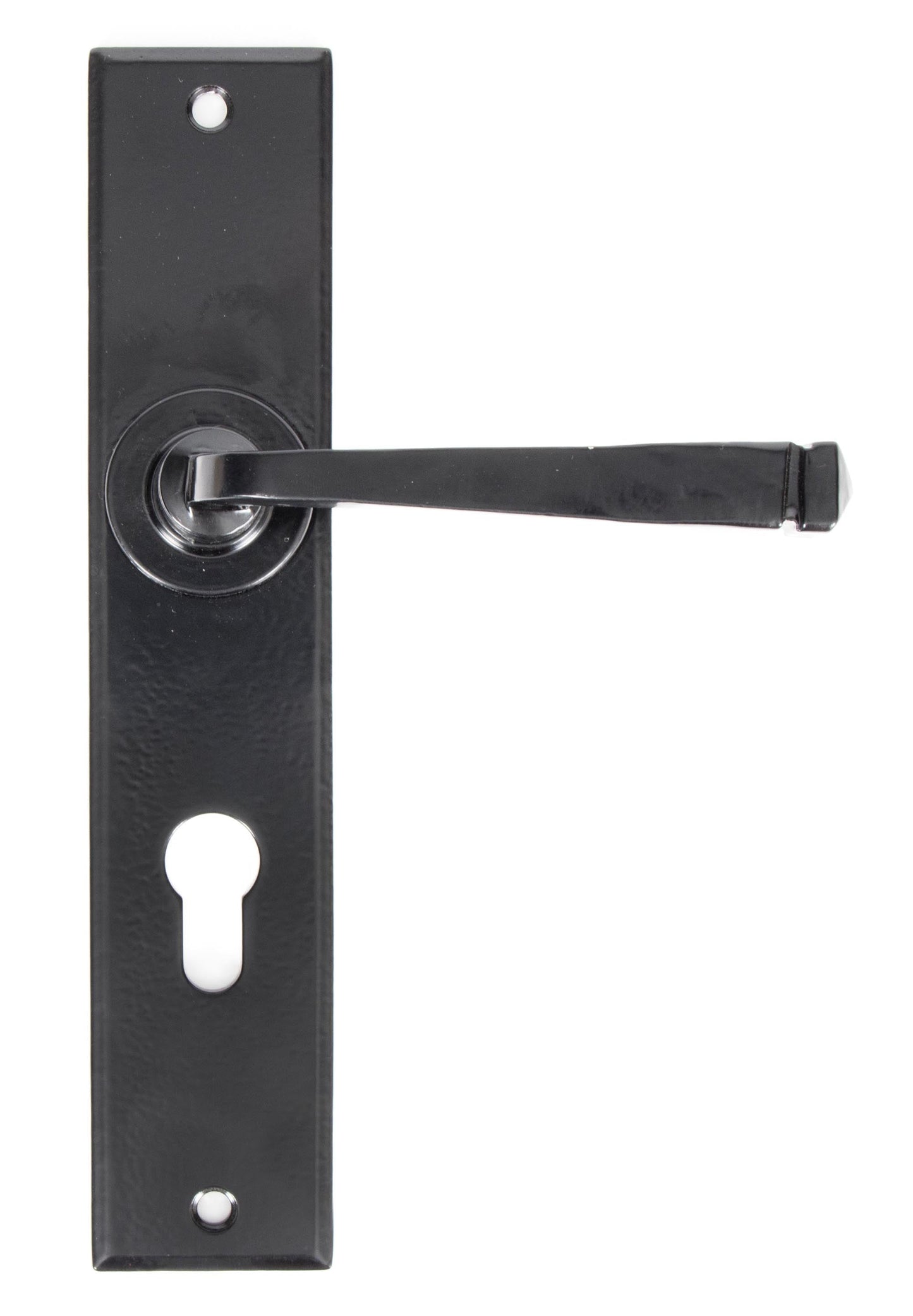 From The Anvil Large Avon Lever Euro Lock Set