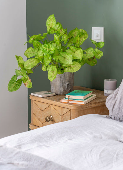 From The Anvil Hammered Mushroom Cabinet Knob