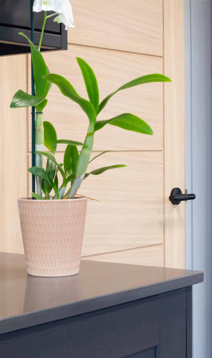 From The Anvil Brompton Lever On Rose Set (Unsprung)