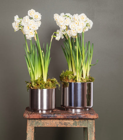 From The Anvil Newlyn Pot