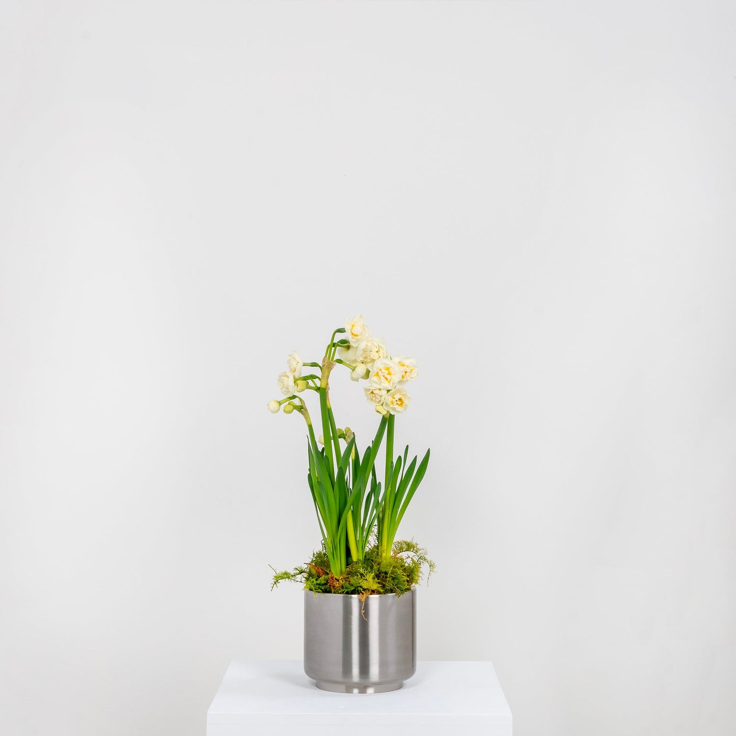 From The Anvil Newlyn Pot