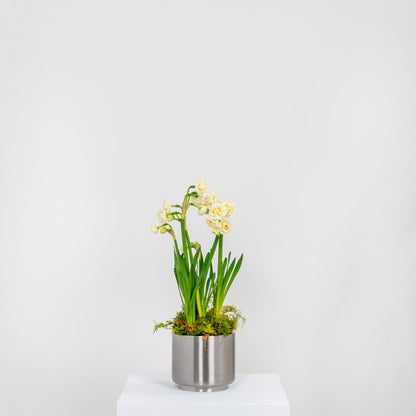 From The Anvil Newlyn Pot