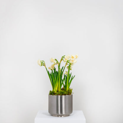 From The Anvil Newlyn Pot