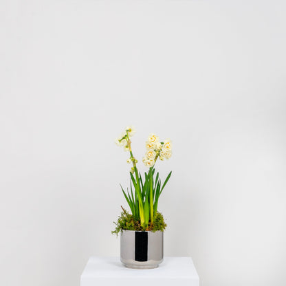 From The Anvil Newlyn Pot