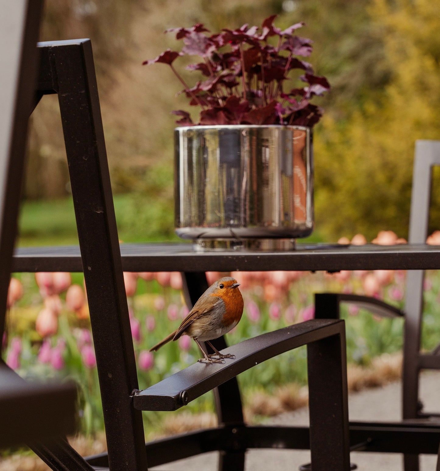 From The Anvil Newlyn Pot