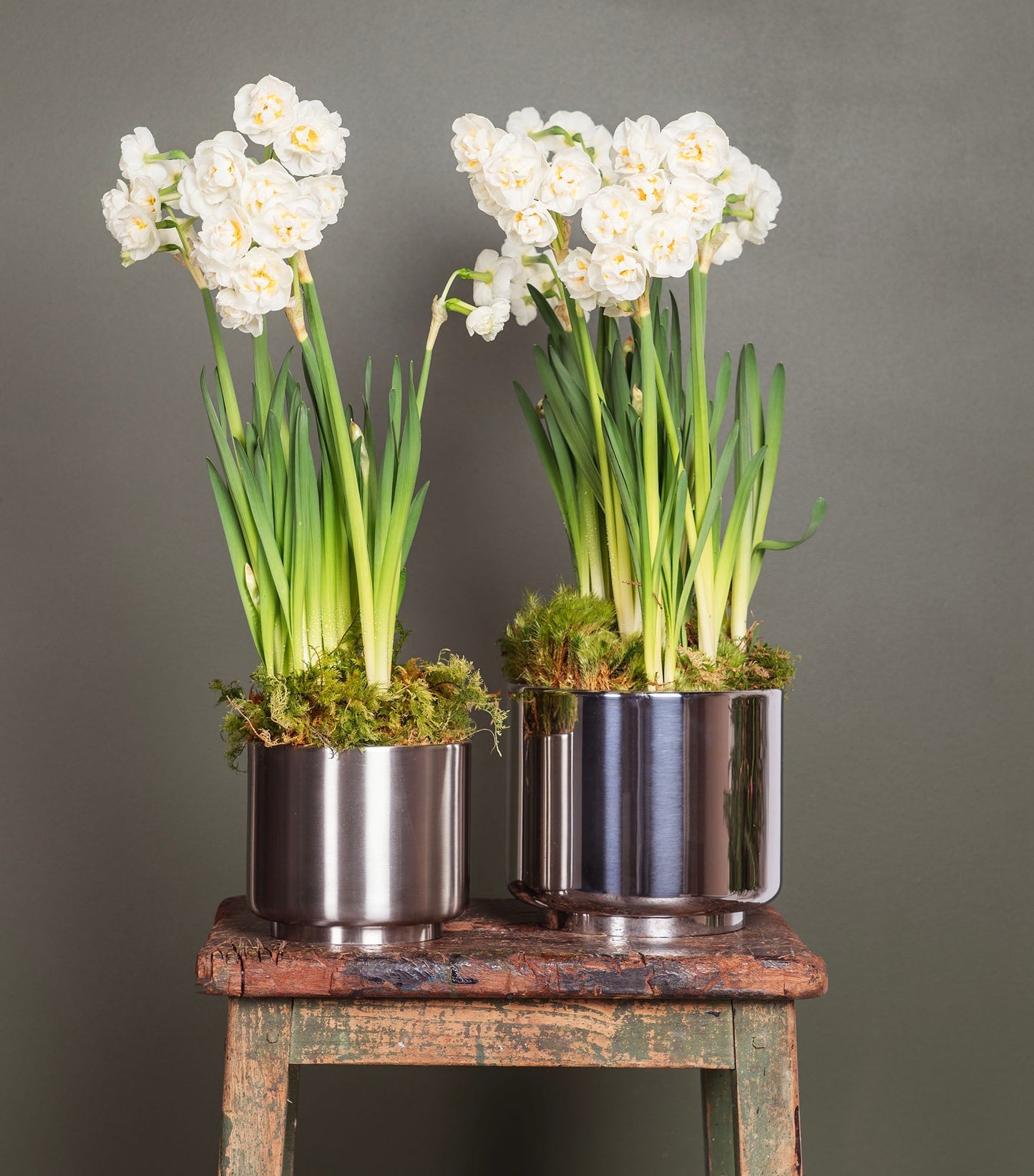 From The Anvil Newlyn Pot