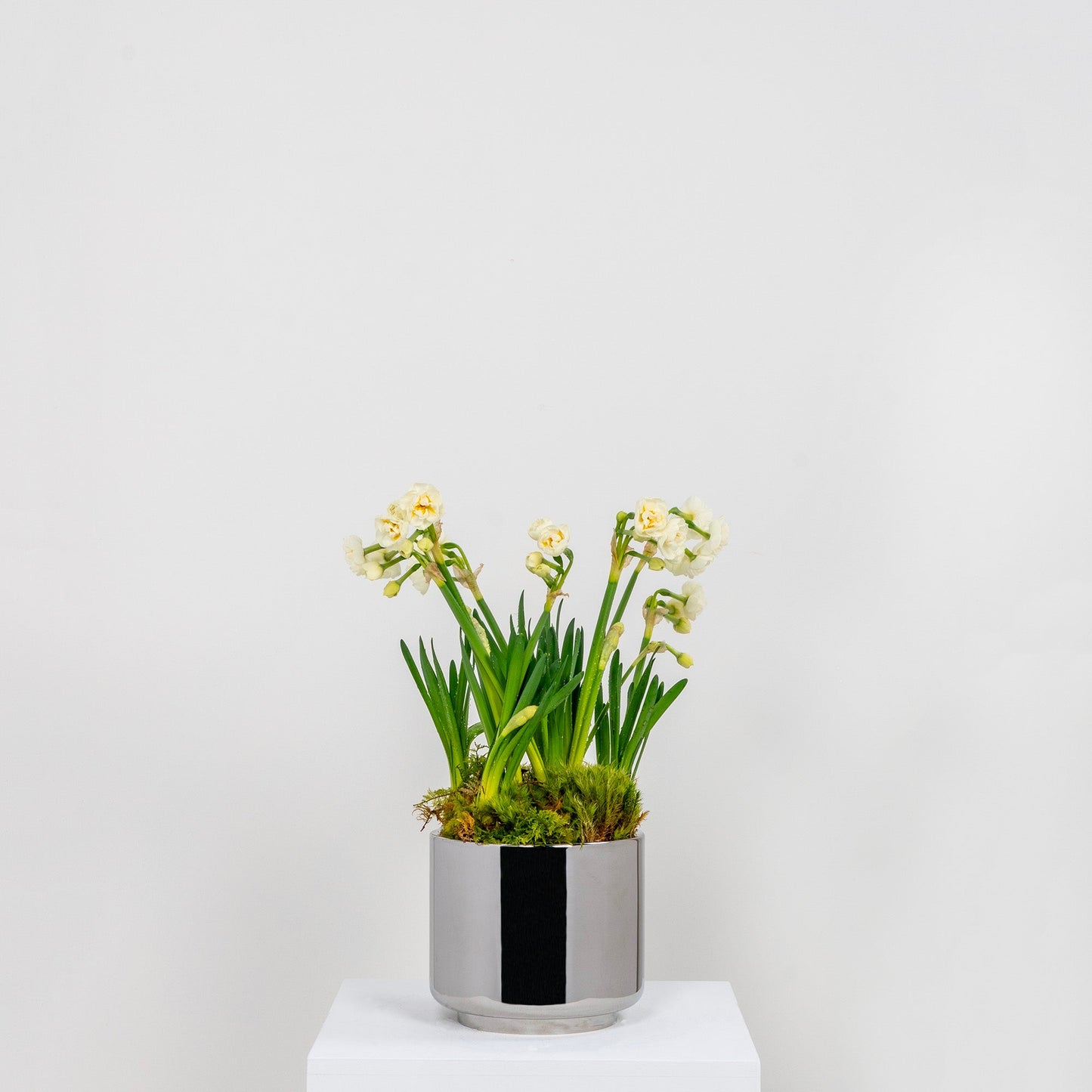 From The Anvil Newlyn Pot