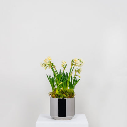 From The Anvil Newlyn Pot