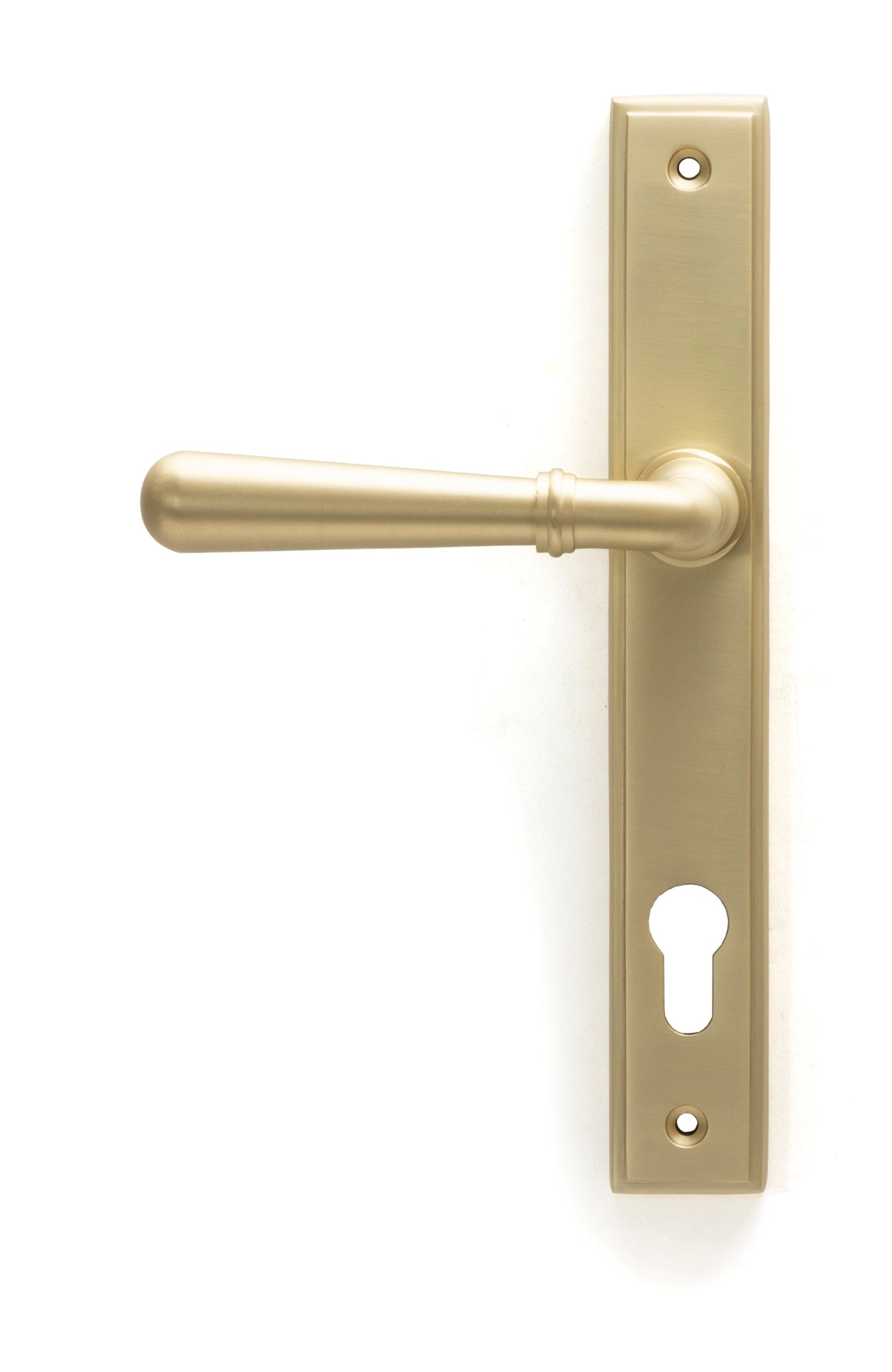 From The Anvil Newbury Slimline Lever Espag. Lock Set
