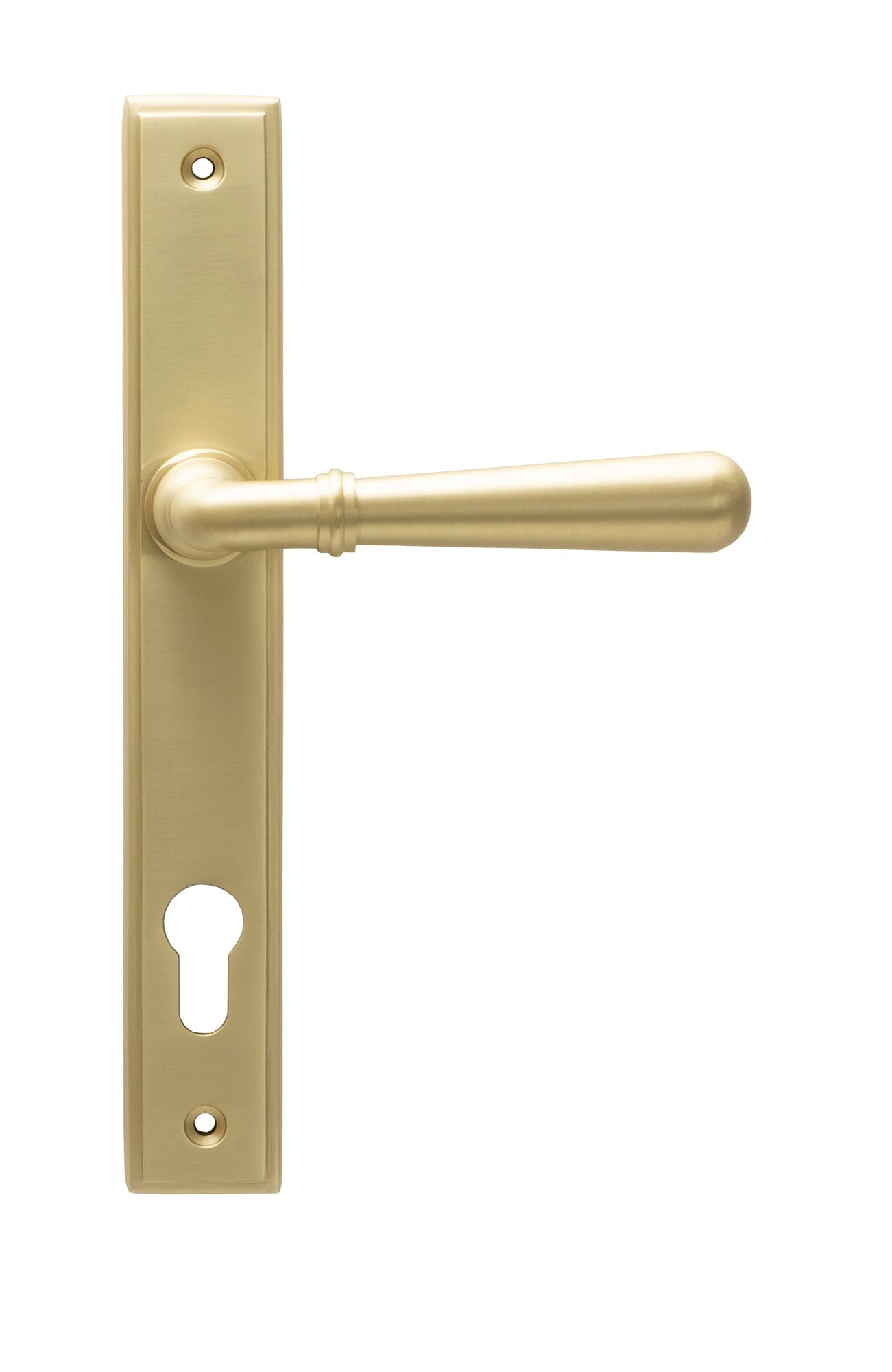 From The Anvil Newbury Slimline Lever Espag. Lock Set