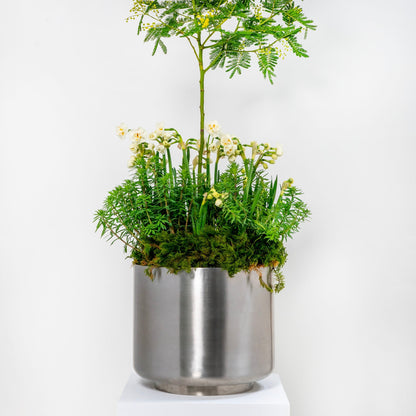 From The Anvil Newlyn Pot