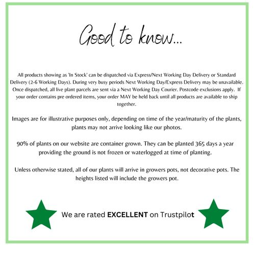 HOMCOM 5.4FT Kids Trampoline with Enclosure Indoor Outdoor