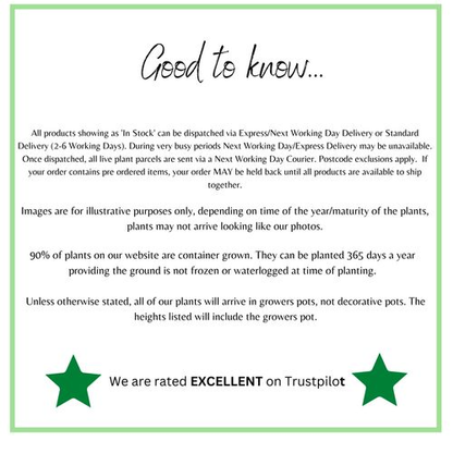 HOMCOM 5.4FT Kids Trampoline with Enclosure Indoor Outdoor