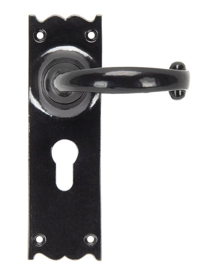 From The Anvil Cottage Lever Euro Lock Set