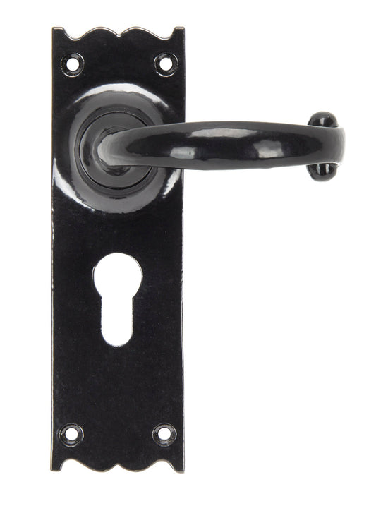 From The Anvil Cottage Lever Euro Lock Set