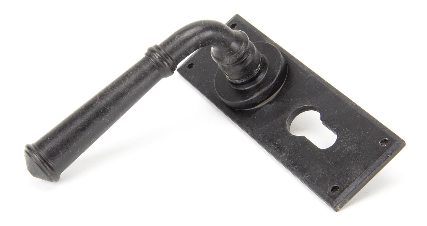 From The Anvil Regency Lever Euro Lock Set - Hot Tub Shop