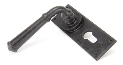 From The Anvil Regency Lever Euro Lock Set - Hot Tub Shop