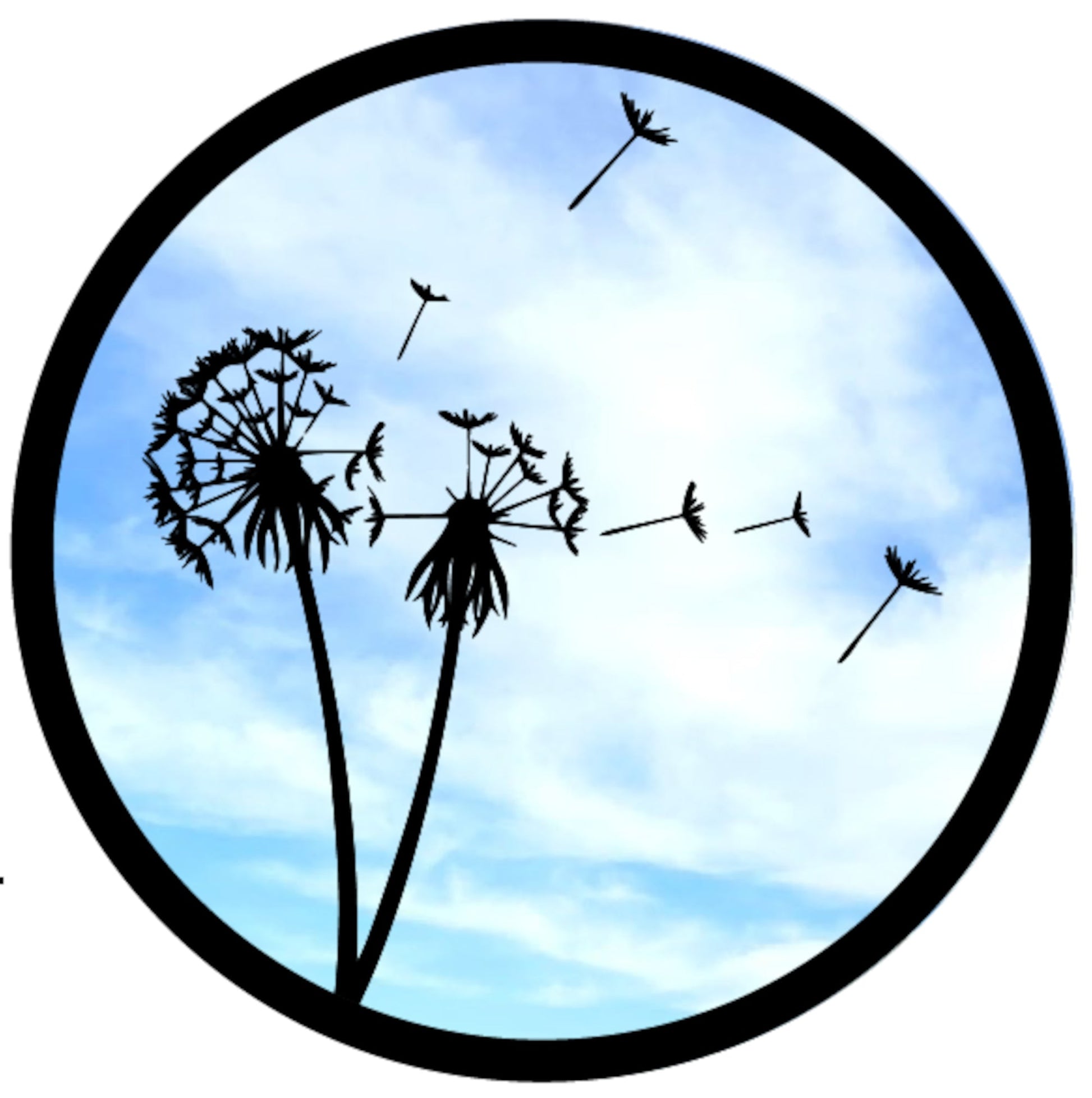 SunCatcher Garden Mirror Round Dandelions Range of Sizes - Hot Tub Shop