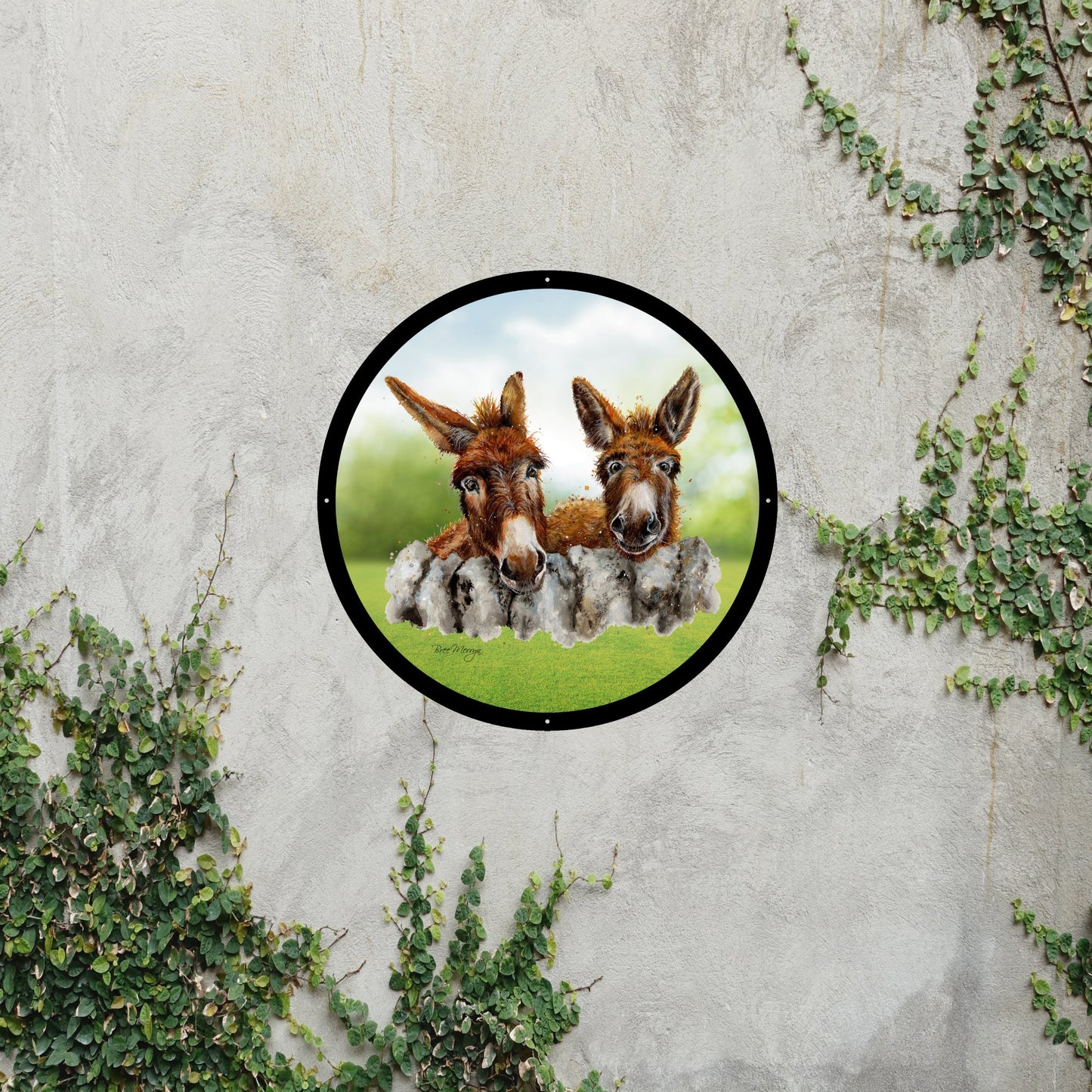 SunCatcher Garden Mirror Barney and Fred, Loveable Donkeys by Bree Merryn - Hot Tub Shop