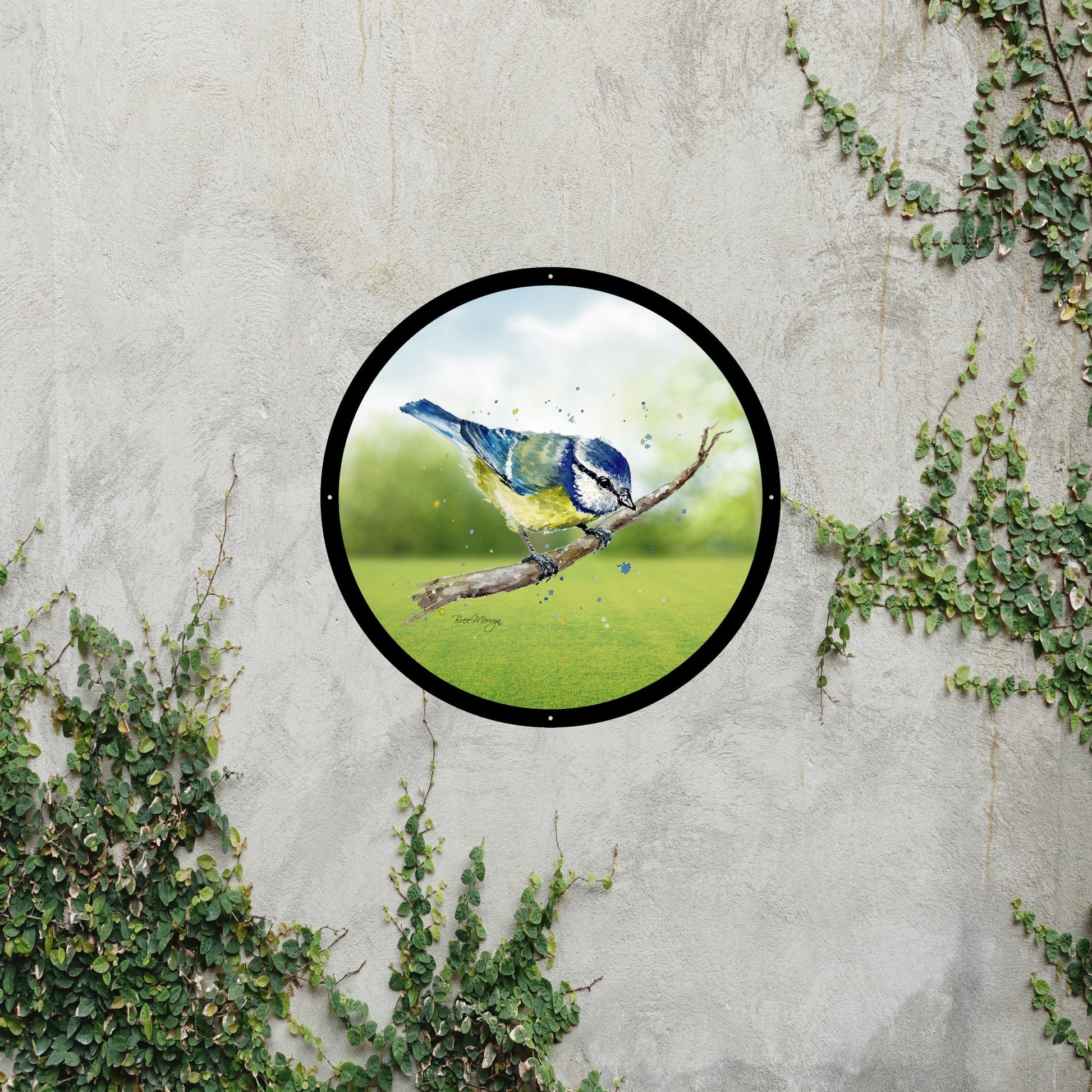 SunCatcher Garden Mirror Betty, the Blue Tit bird Illustrations by Bree Merryn - Hot Tub Shop