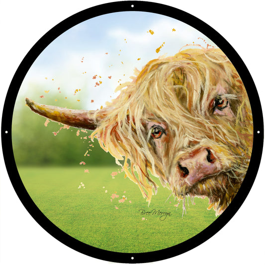 SunCatcher Garden Mirror Brody, Highland Cow Illustrations by Bree Merryn - Hot Tub Shop