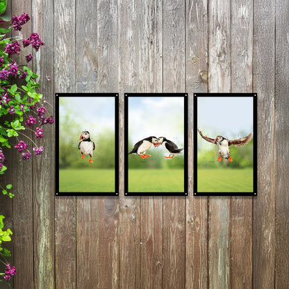 SunCatcher Garden Mirror Set 3 Puffin Parade Illustrations by Bree Merryn - Hot Tub Shop