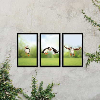 SunCatcher Garden Mirror Set 3 Puffin Parade Illustrations by Bree Merryn - Hot Tub Shop
