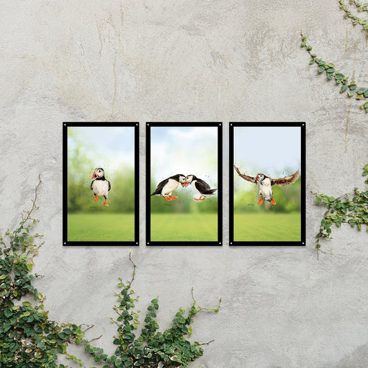 SunCatcher Garden Mirror Set 3 Puffin Parade Illustrations by Bree Merryn - Hot Tub Shop