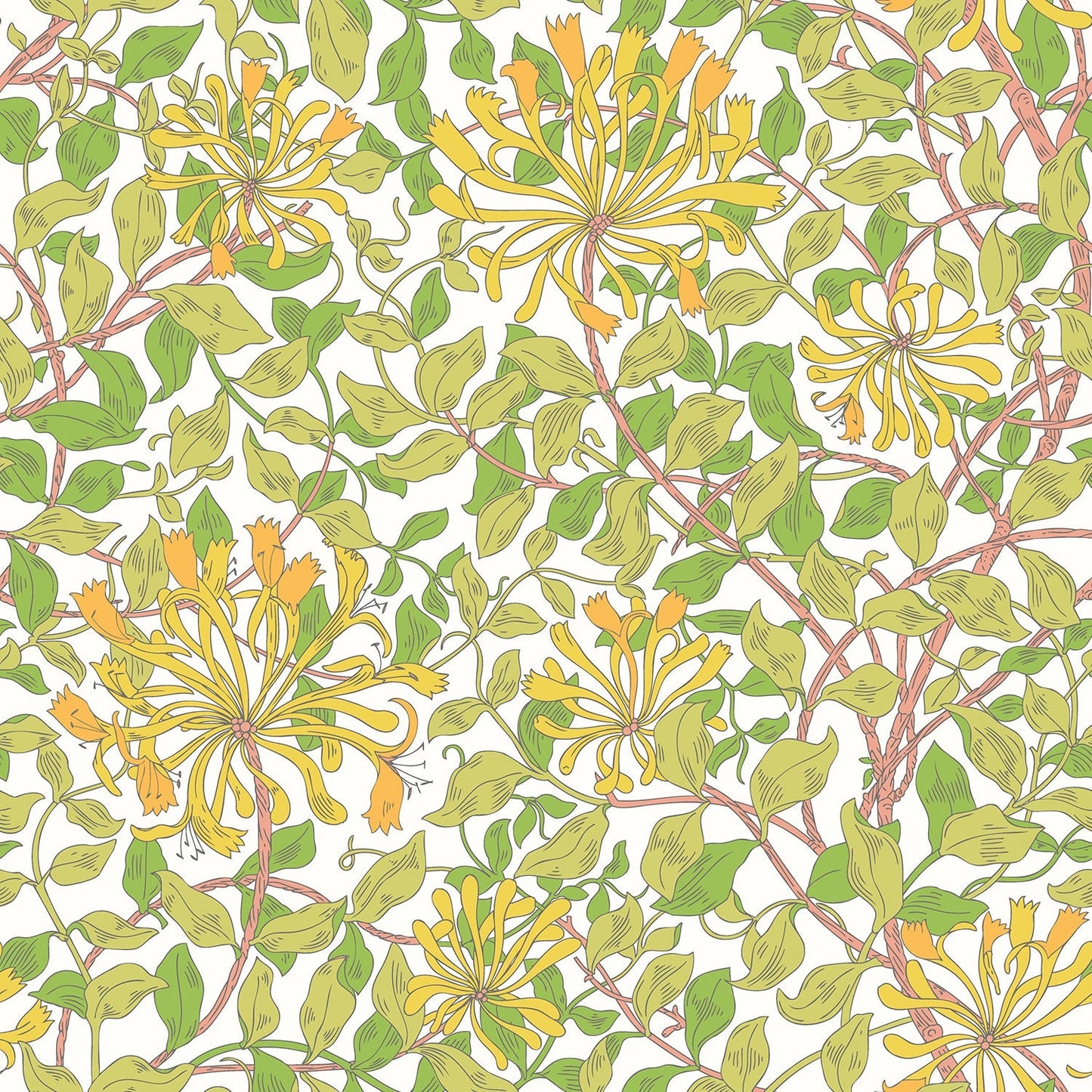 Hoopla Walls Honeysuckle Leaf Trail Sunshine Yellow