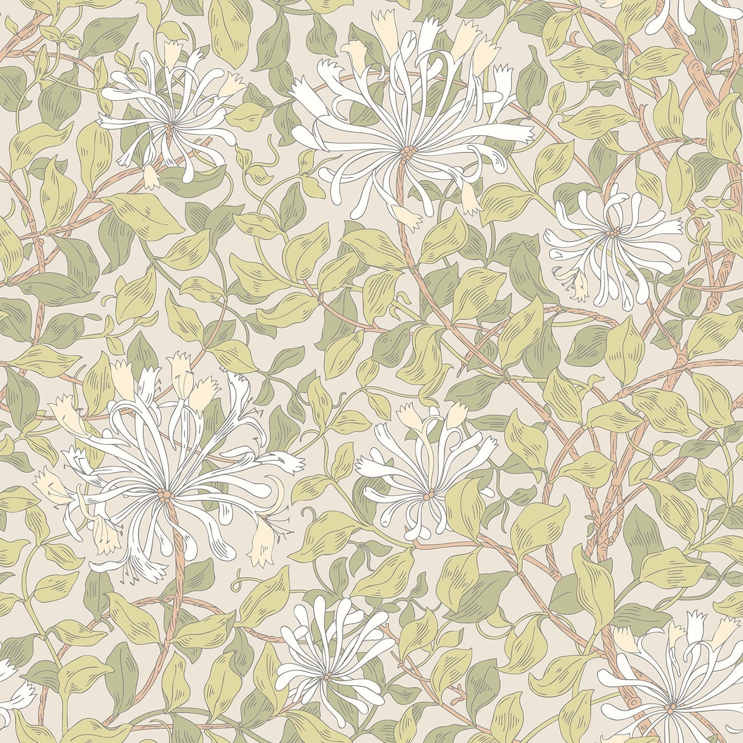 Hoopla Walls Honeysuckle Leaf Trail Stone Natural
