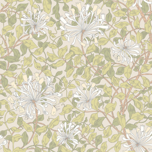 Hoopla Walls Honeysuckle Leaf Trail Stone Natural