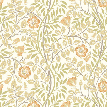 Hoopla Walls Rosehip Trail Soft Amber