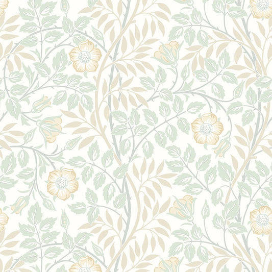 Hoopla Walls Rosehip Trail Soft Mint