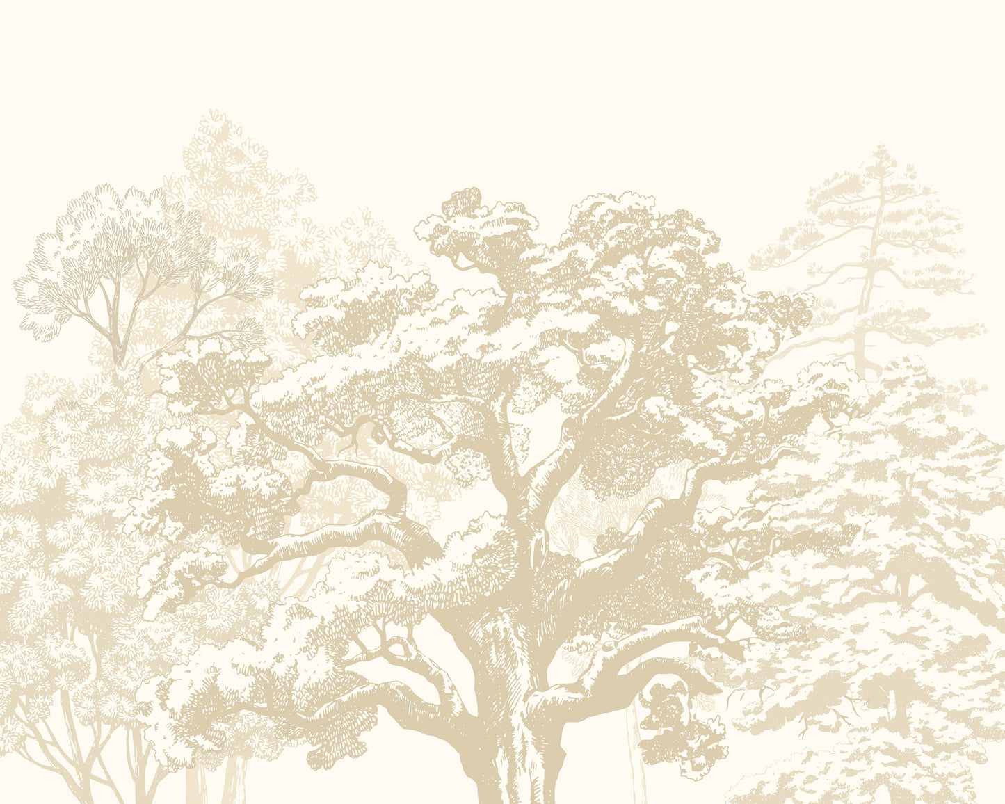 Origin Murals Etched Trees Parchment 350cm X 280cm