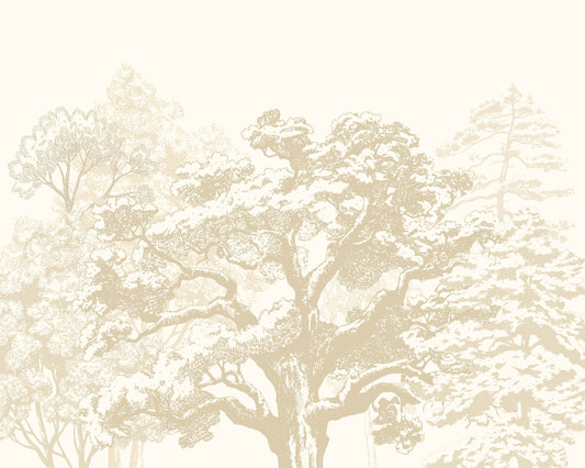 Origin Murals Etched Trees Parchment 300cm X 240cm