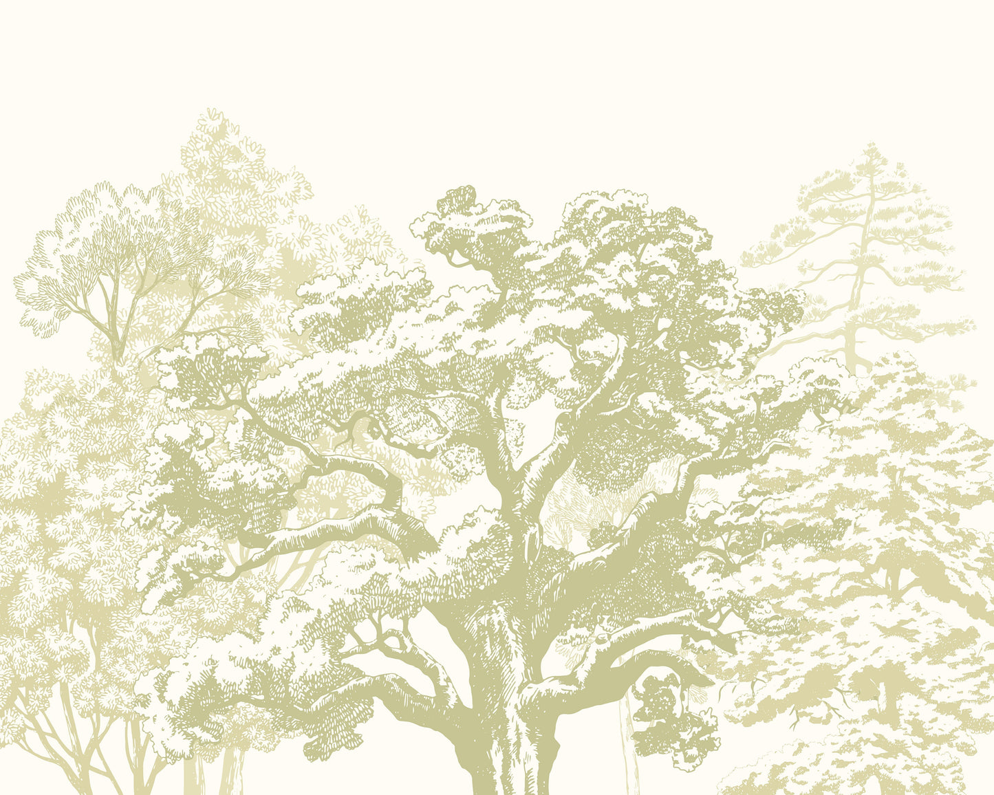 Origin Murals Etched Trees Apple Green 350cm X 280cm