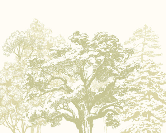 Origin Murals Etched Trees Apple Green 350cm X 280cm