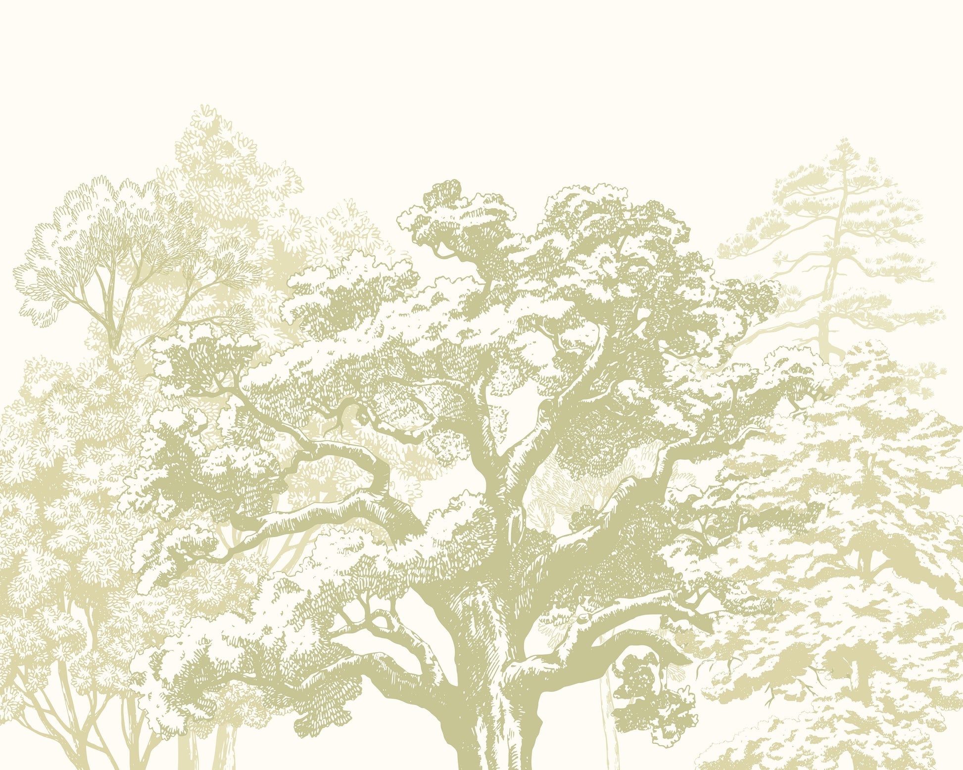 Origin Murals Etched Trees Apple Green 300cm X 240cm - Hot Tub Shop