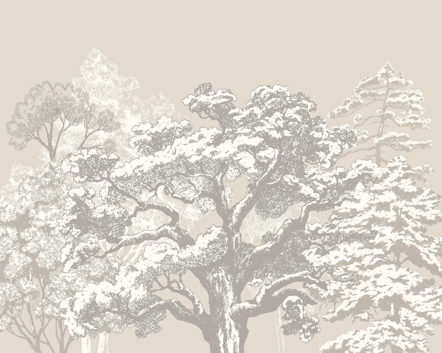Origin Murals Etched Trees Charcoal Stone 350cm X 280cm