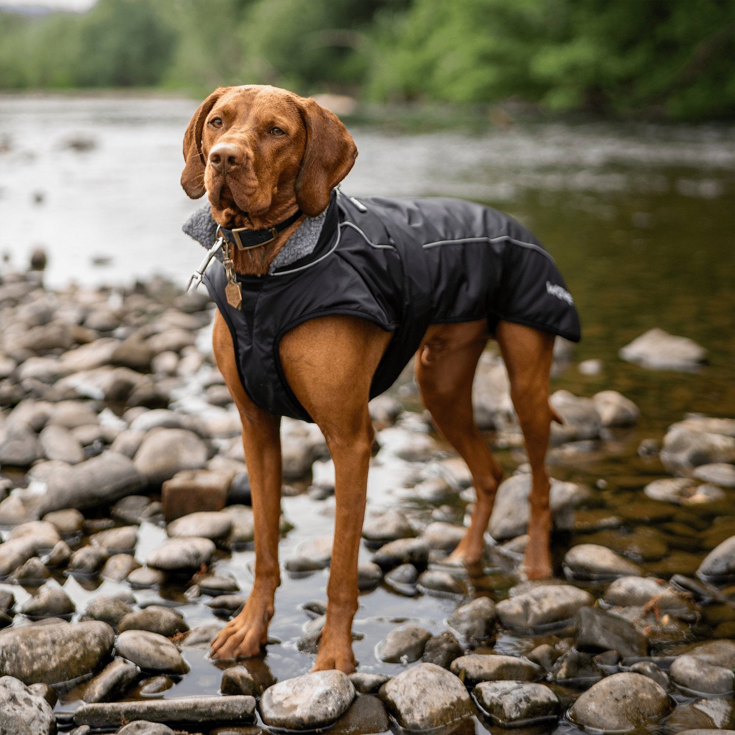 Fleece-Lined Dog Robe - Hot Tub Shop