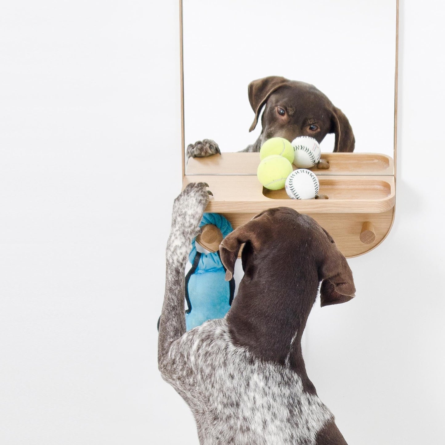 Wireworks Wall Mirror Silent Butler Oak