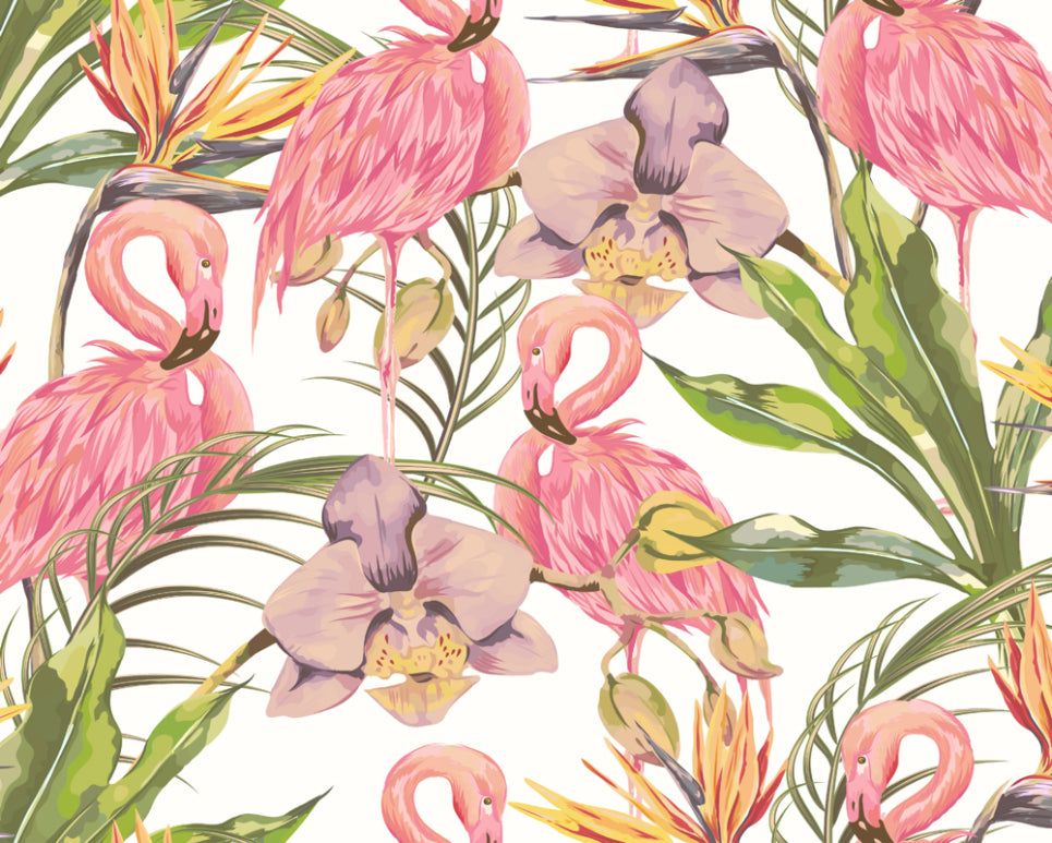 Origin Murals Paradise Flamingo Watermelon 350cm X 280cm
