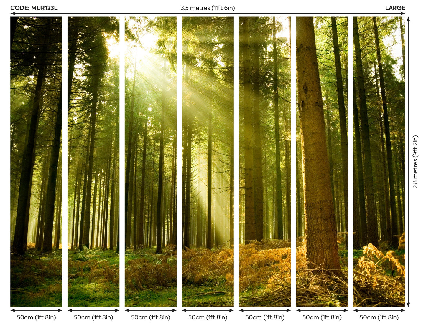 Origin Murals Spruce Forest Evergreen 350cm X 280cm - Hot Tub Shop