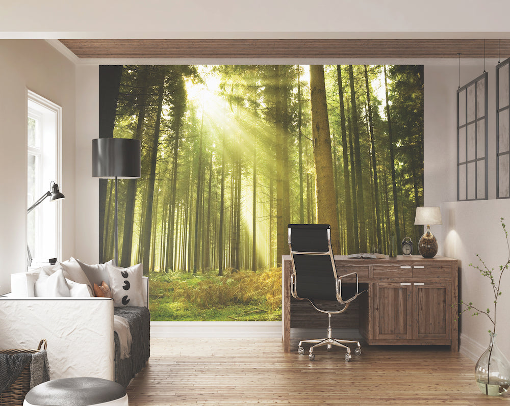 Origin Murals Spruce Forest Evergreen 350cm X 280cm - Hot Tub Shop