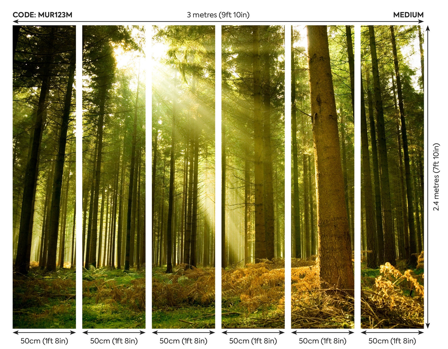 Origin Murals Spruce Forest Evergreen 300cm X 240cm