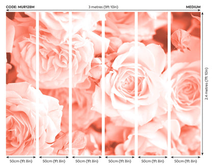 Origin Murals Petals Peach 300cm X 240cm - Hot Tub Shop