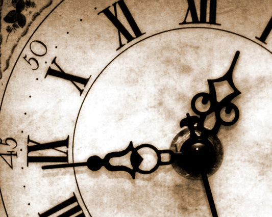 Origin Murals Timepiece Sepia 350cm X 280cm