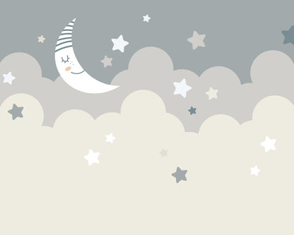 Origin Murals Nighttime Childrens Sky Dove Grey 350cm X 280cm