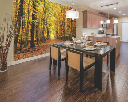 Origin Murals Autumn Forest Spice 300cm X 240cm